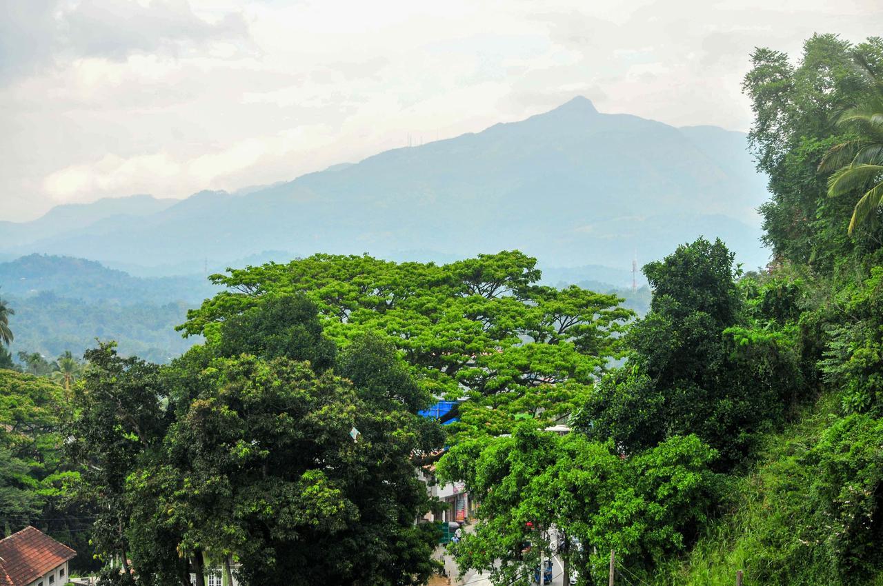 Hotel Vendol Maliga Edge Kandy Zewnętrze zdjęcie